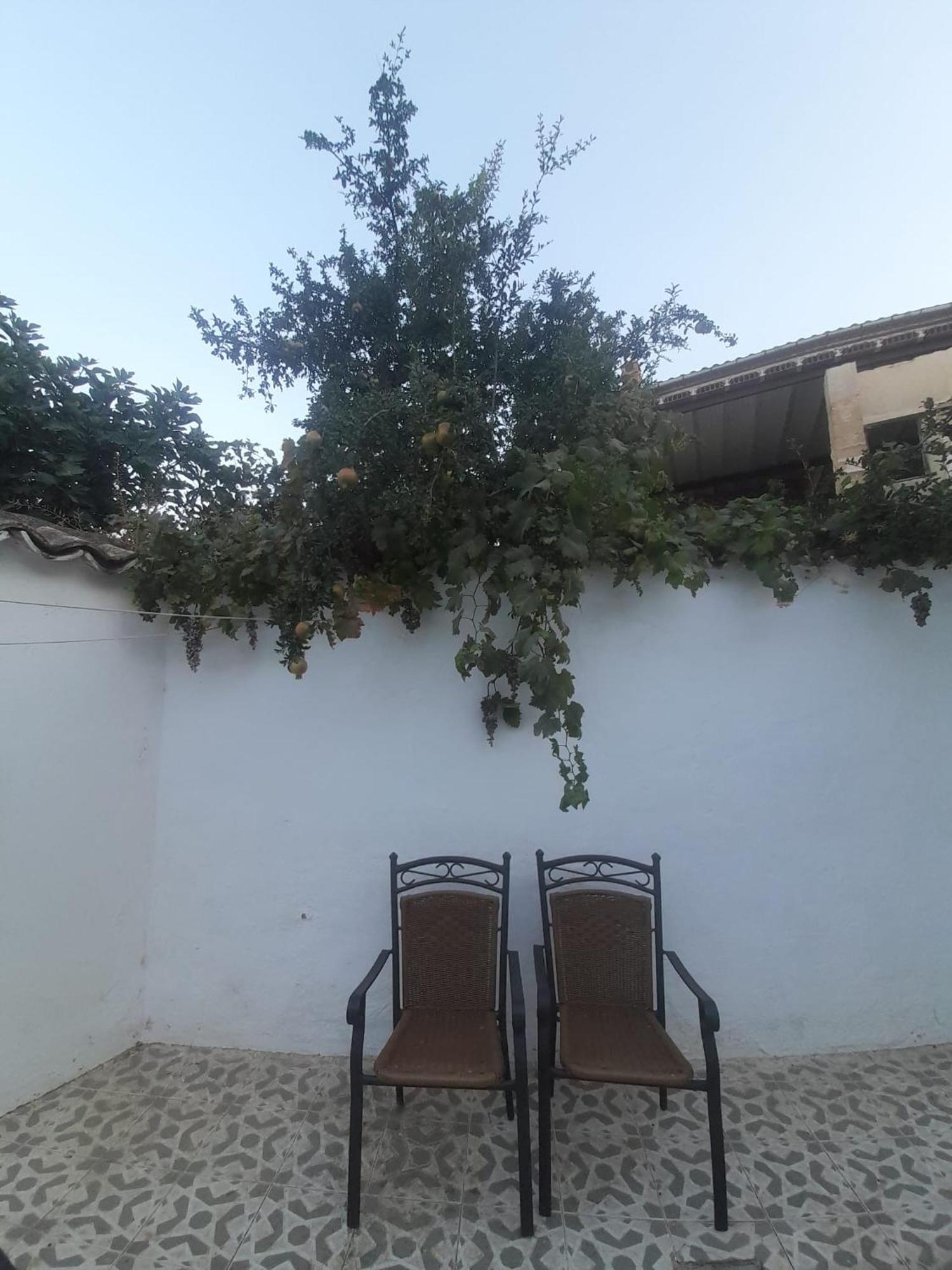 El Molino De Aceite Villa Баеза Екстериор снимка